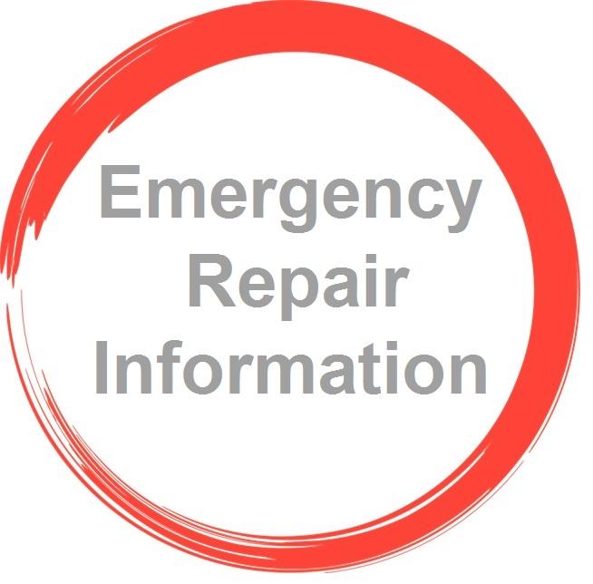 Emergency Repair Information Button