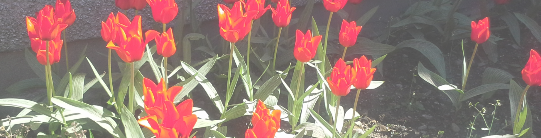 Financial Newsletter - Edition 5 Our Spring 2026 edition is available to read now! Click here for more